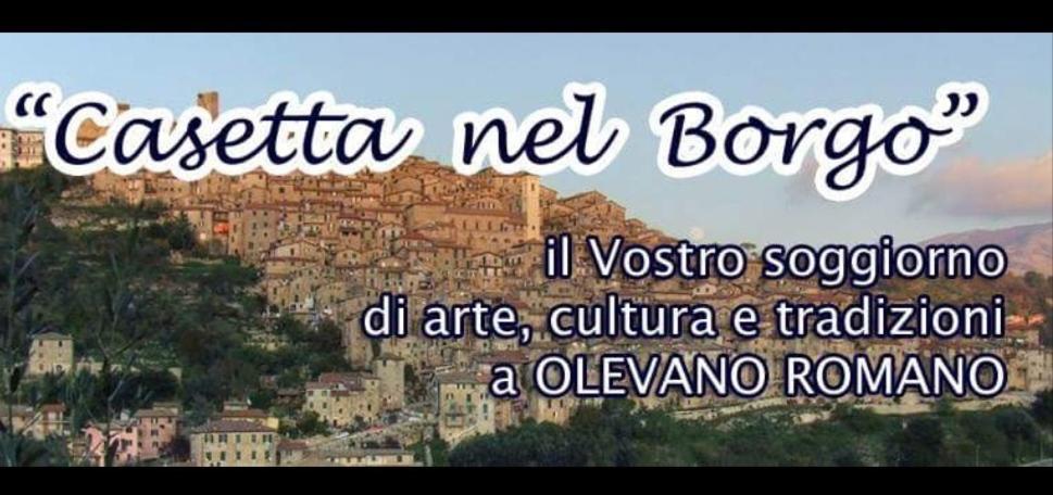 Casetta Nel Borgo Olevano Romano エクステリア 写真
