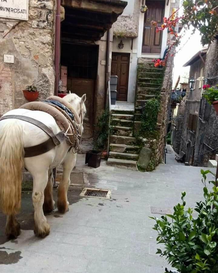 Casetta Nel Borgo Olevano Romano エクステリア 写真