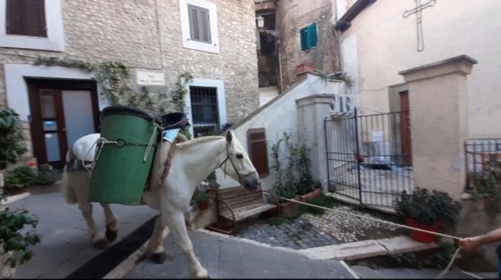 Casetta Nel Borgo Olevano Romano エクステリア 写真