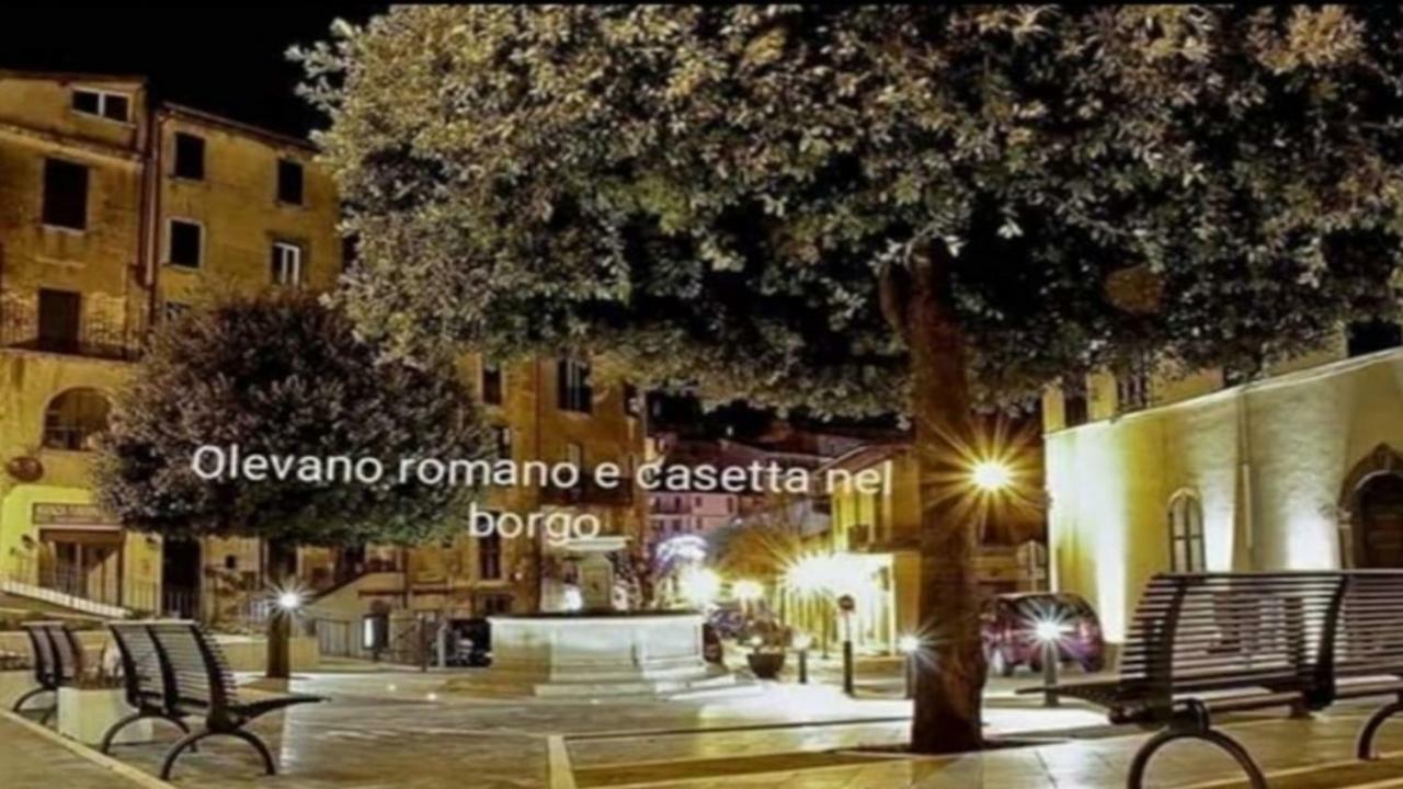 Casetta Nel Borgo Olevano Romano エクステリア 写真